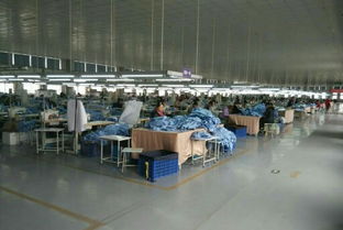 從衣線到菜籃 一位女工的跨界創(chuàng)業(yè)之路